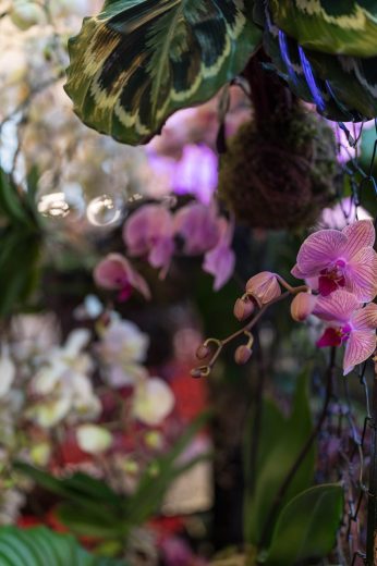 AFR 20260124_094148.jpg