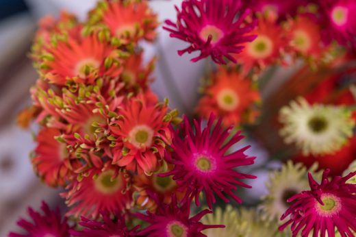 AFR 20260124_101725.jpg