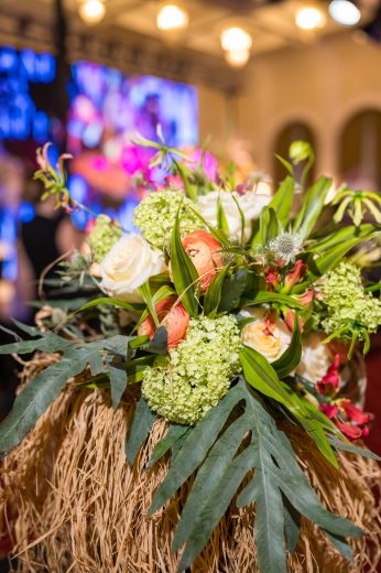 AFR 20260124_165250.jpg