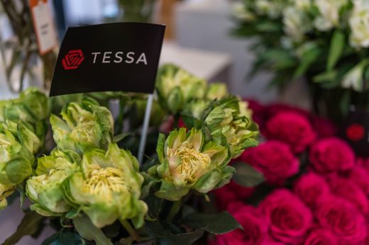 AFR 20260124_094848.jpg