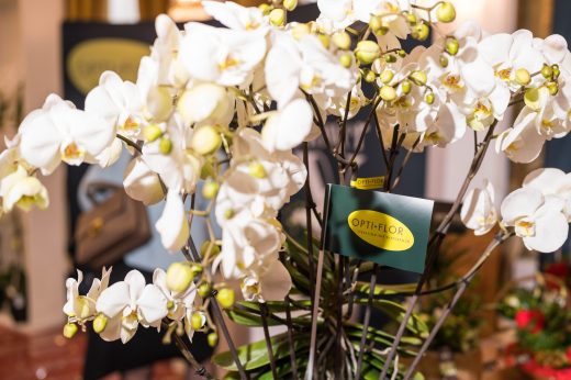 AFR 20260124_123036.jpg