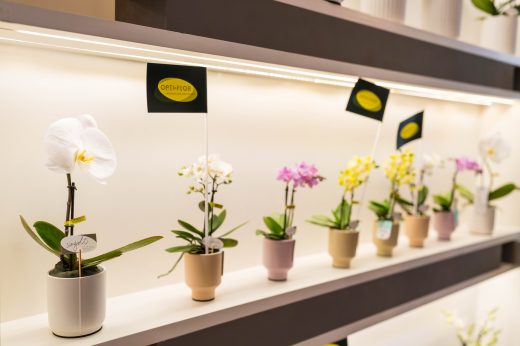 AFR 20260124_123117.jpg