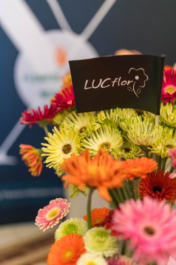 AFR 20260124_101716.jpg