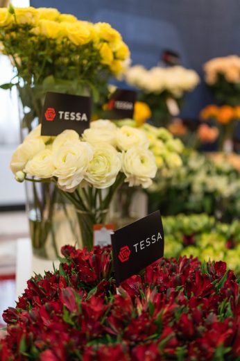 AFR 20260124_094726.jpg