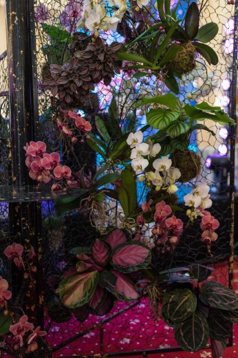 AFR 20260124_094516.jpg