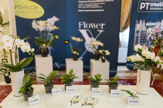 AFR 20260124_110821.jpg