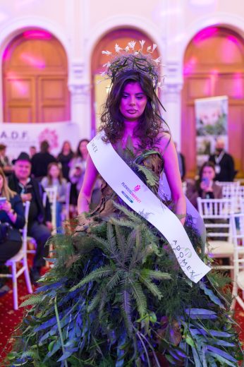 AFR 20260124_095306.jpg