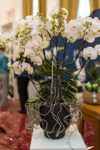 AFR 20260124_094526.jpg