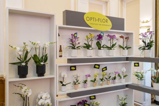 AFR 20260124_094002.jpg