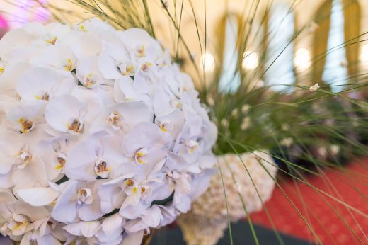 AFR 20260124_152346.jpg