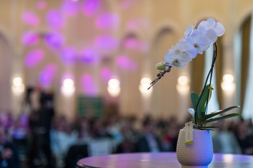 AFR 20260124_104957.jpg