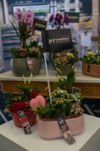 AFR 20260124_094319.jpg