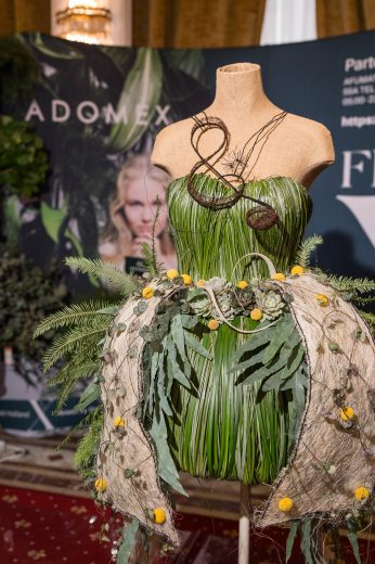 AFR 20260124_112927.jpg