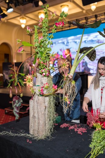 AFR 20260124_163750.jpg