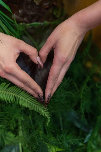 AFR 20260124_102520.jpg