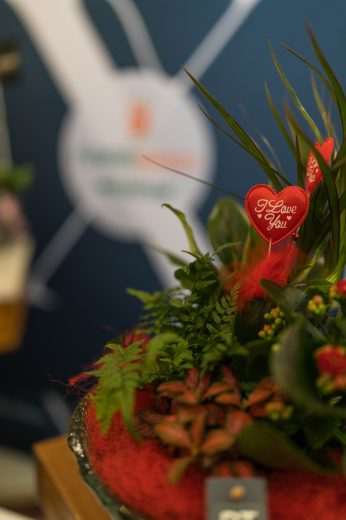 AFR 20260124_094459.jpg