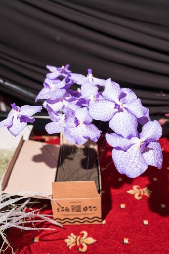 AFR 20260124_144607.jpg