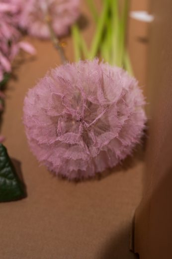 AFR 20260124_144556.jpg