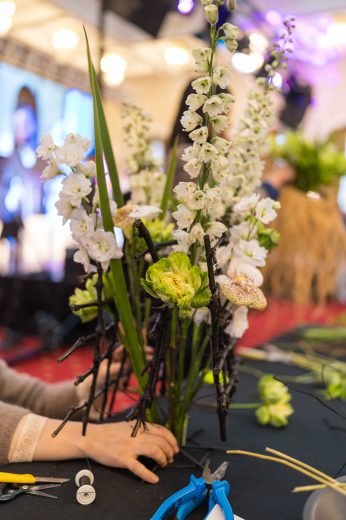 AFR 20260124_152603.jpg