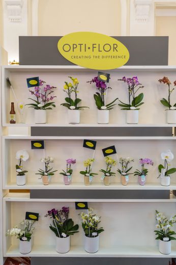 AFR 20260124_094017.jpg