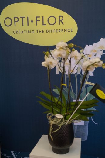 AFR 20260124_094047.jpg