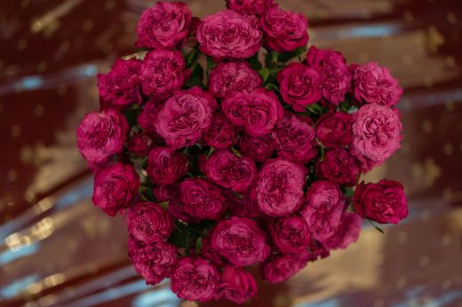 AFR 20260124_094834.jpg