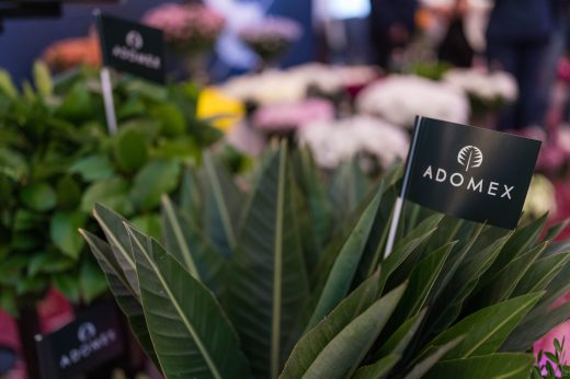 AFR 20260124_100856.jpg