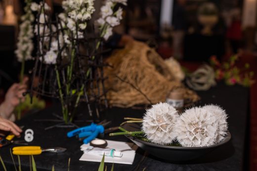 AFR 20260124_151750.jpg