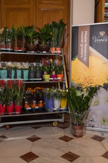 AFR 20260124_111912.jpg