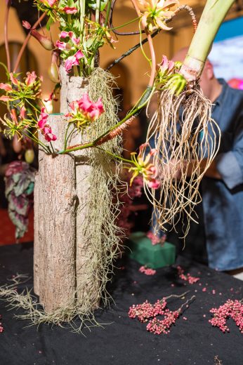 AFR 20260124_163755.jpg