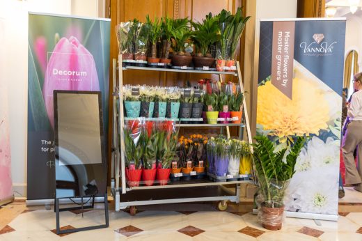 FlowersX – Growers Edition photo 8