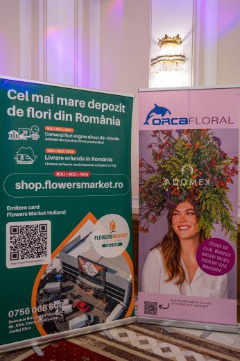 AFR 20260124_093530.jpg