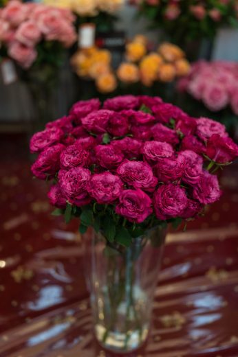 AFR 20260124_094819.jpg