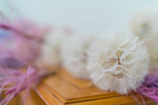 AFR 20260124_091719.jpg