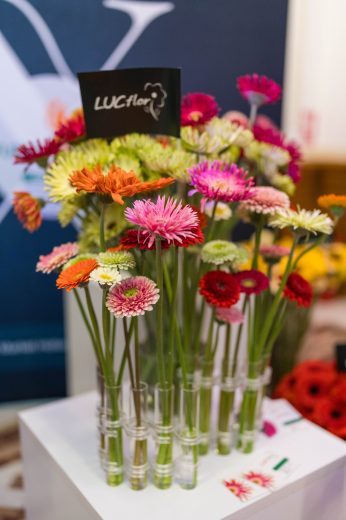 AFR 20260124_101704.jpg