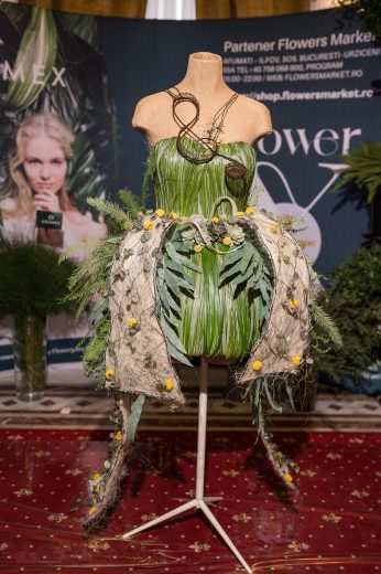 AFR 20260124_112924.jpg