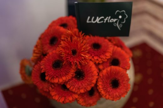 AFR 20260124_101732.jpg