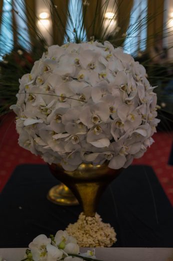 AFR 20260124_152246.jpg