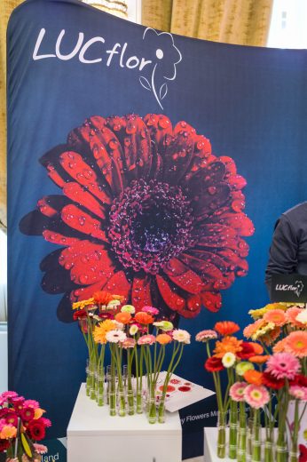 AFR 20260124_101027.jpg