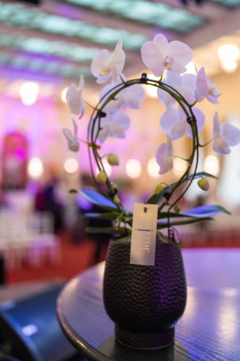 AFR 20260124_094139.jpg