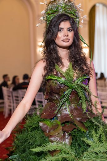 AFR 20260124_121329.jpg