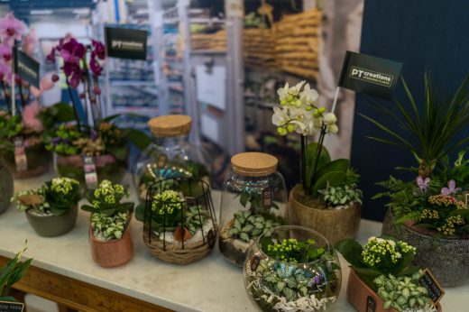 AFR 20260124_094444.jpg