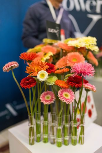 AFR 20260124_101637.jpg