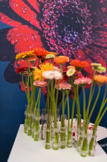 AFR 20260124_101644.jpg