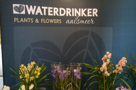 AFR 20260124_094544.jpg