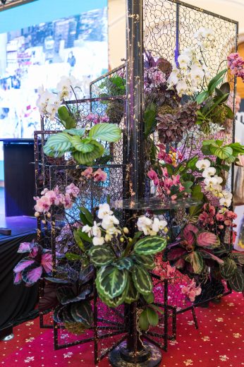 AFR 20260124_093917.jpg