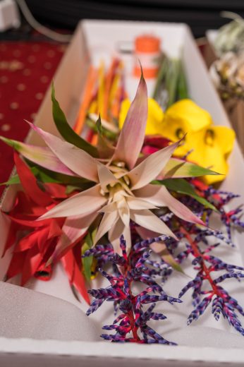 AFR 20260124_144546.jpg