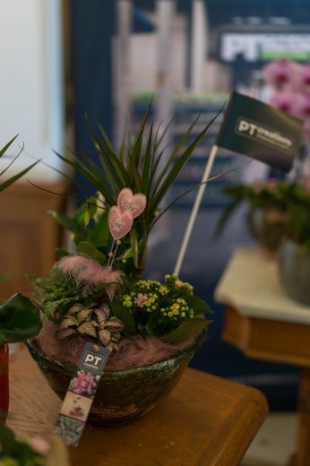 AFR 20260124_094311.jpg