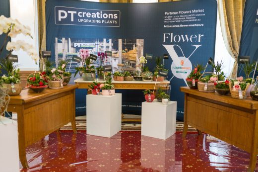 AFR 20260124_110842.jpg