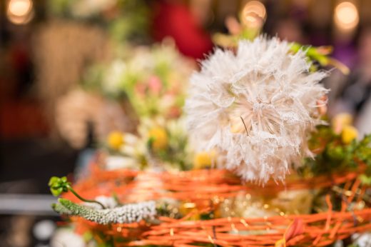 AFR 20260124_165757.jpg